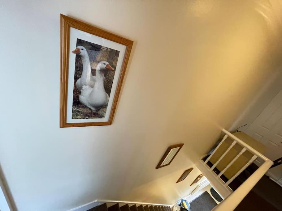 Appartamento Beanies Lornestreet Four Bed House Swindon Esterno foto